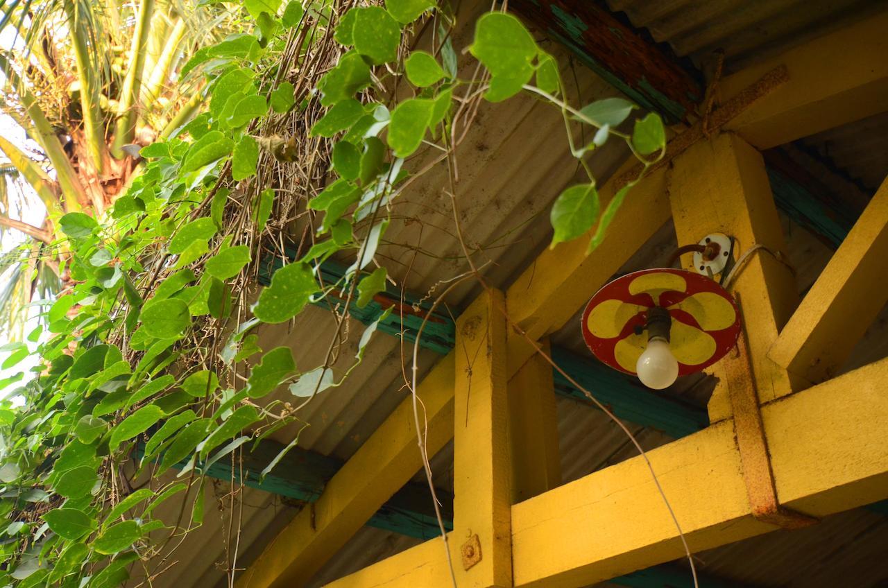 Sky Gift Traditional Farm B&B Dongshi  Exterior photo