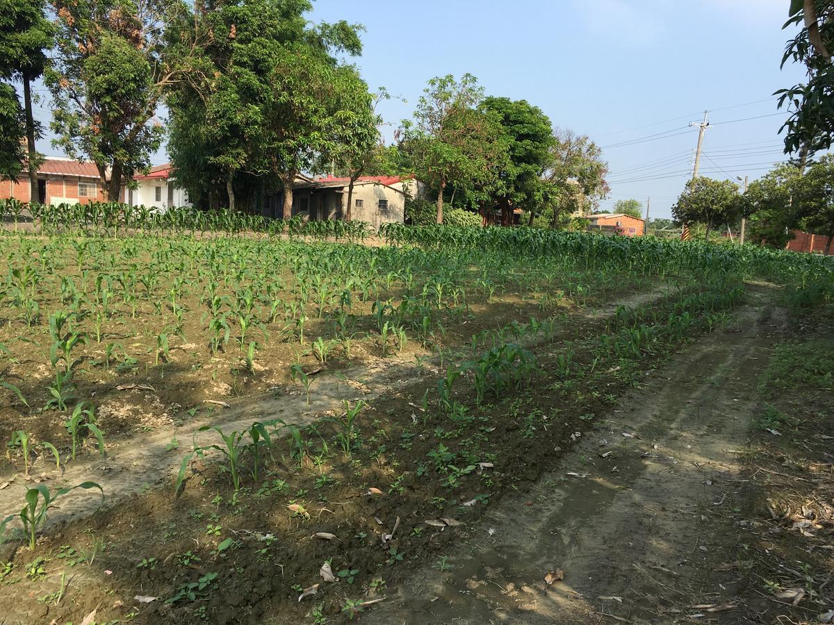 Sky Gift Traditional Farm B&B Dongshi  Exterior photo